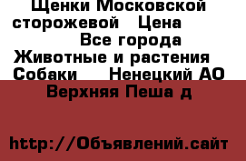 Щенки Московской сторожевой › Цена ­ 35 000 - Все города Животные и растения » Собаки   . Ненецкий АО,Верхняя Пеша д.
